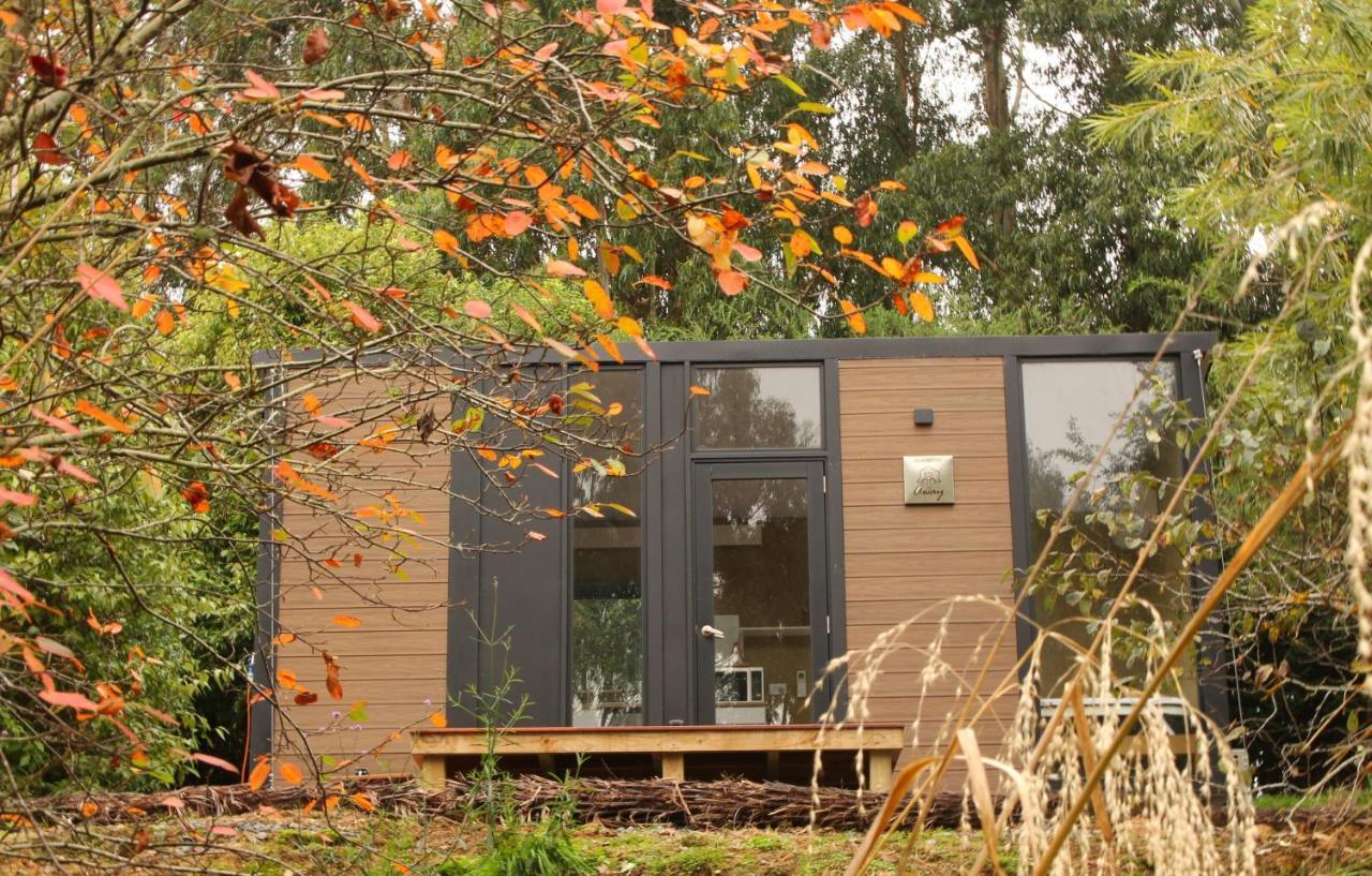 Tranquility Tiny House By Tiny Away Villa Owaka Ngoại thất bức ảnh